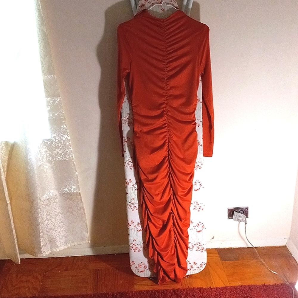 Riched Burnt Orange - image 5